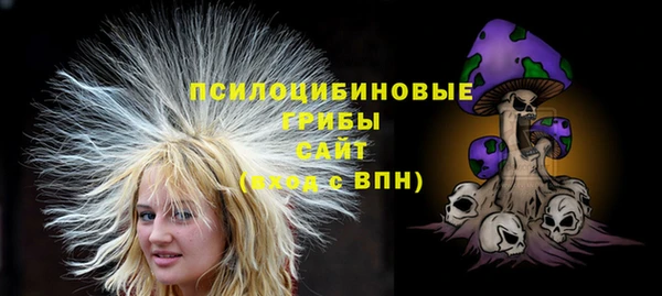 СК Надым